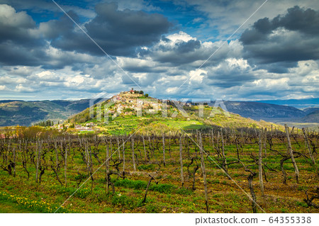 The Motovun, old mediterranean town. The Motovun, old mediterranean town. 64355338