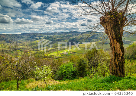View of the mountainous landscape. View of the mountainous landscape. 64355340