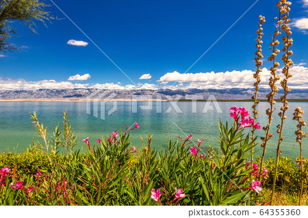 Flowers in foreground of a landscape with sea bay. Flowers in foreground of a landscape with sea bay. 64355360