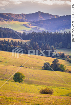 Rural landscape in autumn, National Nature Reserve 64355397
