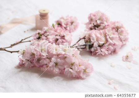Spring feminine scene. Closeup of blossoming japanese cherry tree branches, pink petals on white linen table cloth background. Asian composition with sakura flowers, blooms. Selective focus. 64355677