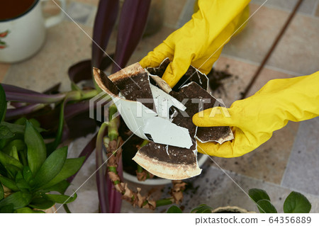 fragments of broken flower pot. fragments of broken flower pot. 64356889