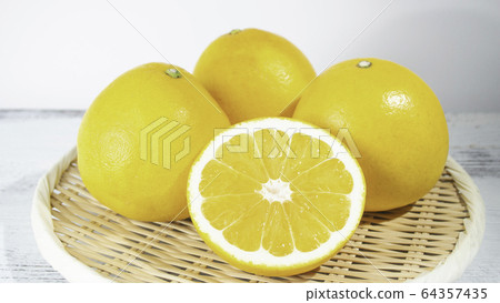Juicy Orange (aka: Kawachi Bankan, Bishokan, Nada Orange, Ainan Gold, Uwa Gold, Juicy Go 64357435