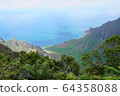 [夏威夷]考艾島威美亞峽谷 64358088