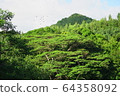 Mountain view Mountain view 64358092
