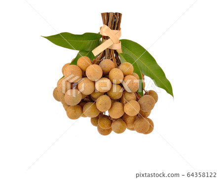 longan is thai 's fruit. fresh longan on the background.Fruit sweet taste. longan is thai 's fruit. fresh longan on the background.Fruit sweet taste. 64358122