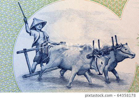Farmer and bullock cart from Burmese money 64358178