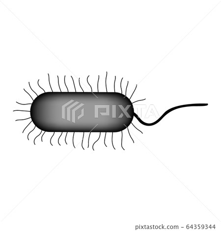 Bacterium icon on white. 64359344