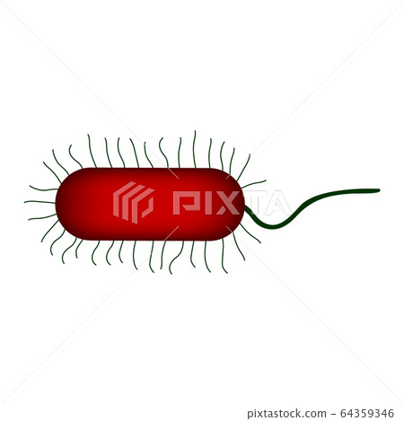 Bacterium icon on white. 64359346