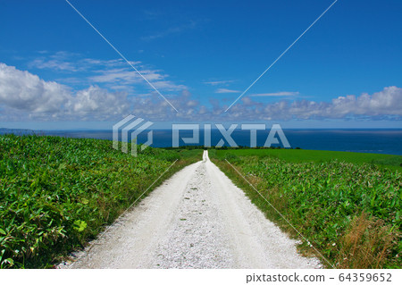 Cape Soya, Hokkaido 64359652