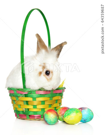 Rabbit with Easter eggs on a white background Rabbit with Easter eggs on a white background 64359687