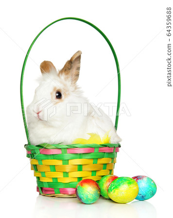 Rabbit in a basket with Easter eggs Rabbit in a basket with Easter eggs 64359688