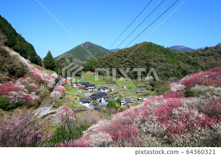 花鐮町,花那町(高知縣二淀川町) 花鐮町,花那町(高知縣二淀川町) 64360321
