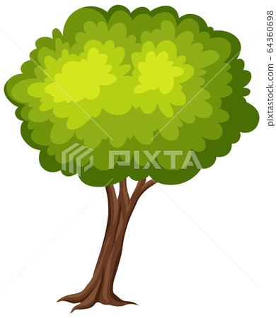 One big tree on white background 64360698