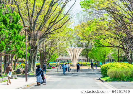 東京板橋區春天Akatsuka公園 64361759