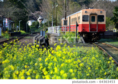 小湊鐵路的當地火車停在鄉村車站 小湊鐵路的當地火車停在鄉村車站 64363453