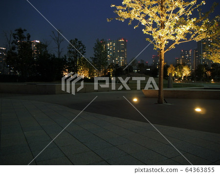 芝浦中央公園夜景 芝浦中央公園夜景 64363855