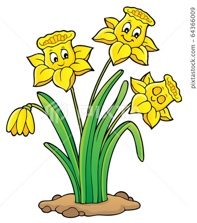 Narcissus flower theme image 1 Narcissus flower theme image 1 64366009