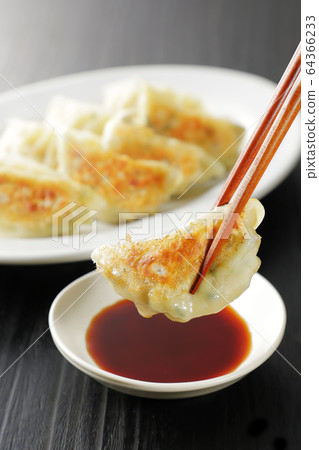 Pan-fried gyoza 64366233