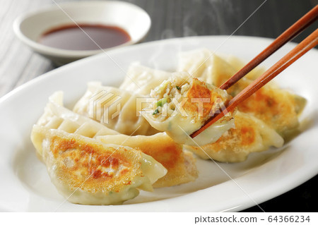 Pan-fried gyoza 64366234