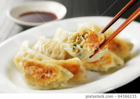 Pan-fried gyoza Pan-fried gyoza 64366235