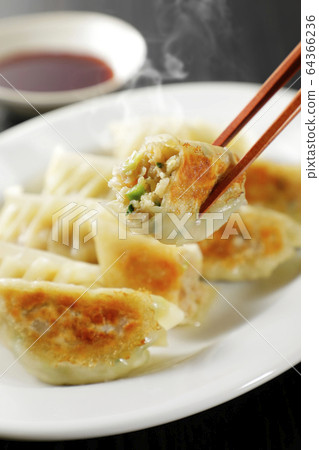 Pan-fried gyoza Pan-fried gyoza 64366236