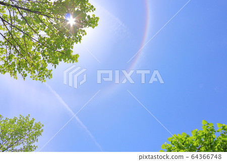 Early summer, clear sky Early summer, clear sky 64366748