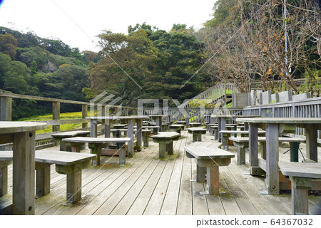 [Kanagawa] Landscape of Yokosuka Kurihama Hana no Kuni 64367032