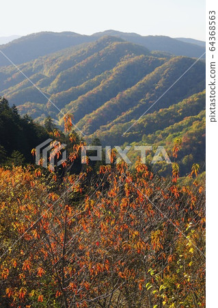 Autumn colors in Great Smoky Mountain National Park, Tennessee, USA Autumn colors in Great Smoky Mountain National Park, Tennessee, USA 64368563