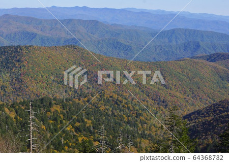 Autumn colors in Great Smoky Mountain National Park, Tennessee, USA 64368782