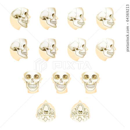 正畸頜骨手術解剖 64369213