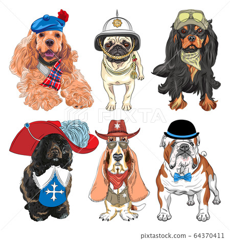 hipster dog clothes