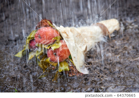 Old rotten bouquet of flowers and fruits lies on the ground 64370665