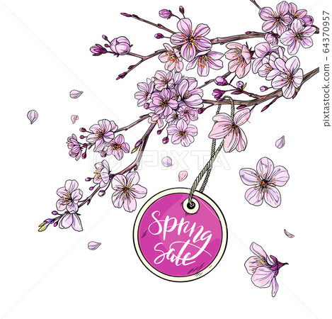Round SPRING SALE tag is hanging on sakura branch 64370957