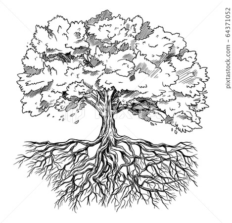 Spreading tree with leaves and rootage, hand drawn Spreading tree with leaves and rootage, hand drawn 64371052