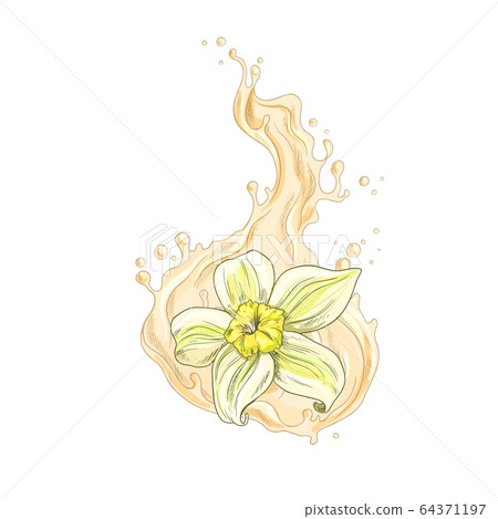 Vanilla flower falling into the creamy liquid Vanilla flower falling into the creamy liquid 64371197