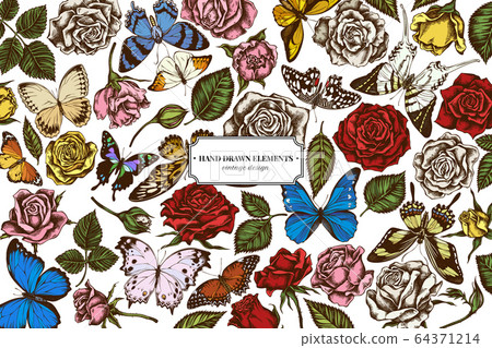 Floral design with colored menelaus blue morpho, giant swordtail, blue morpho, lemon butterfly, red lacewing, african giant swallowtail, alcides agathyrsus, wallace's golden birdwing, purple spotted Floral design with colored menelaus blue morpho, giant swordtail, blue morpho, lemon butterfly, red lacewing, african giant swallowtail, alcides agathyrsus, wallace's golden birdwing, purple spotted 64371214