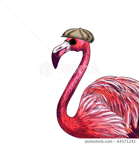 Pink Flamingo Sunglasses Resting Lifesaver Having Tropical Drink Vector  Cartoon Stock Vector by ©memoangeles 377018900