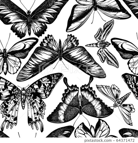 Seamless pattern with black and white wallace's golden birdwing, ambulyx moth, white-banded hunter hawkmoth, madagascan sunset moth, emerald swallowtail, rajah brooke's birdwing, swallowtail butterfly 64371472