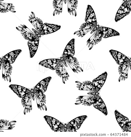 Seamless pattern with black and white madagascan sunset moth Seamless pattern with black and white madagascan sunset moth 64371484