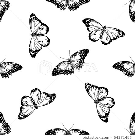 Seamless pattern with black and white red lacewing, plain tiger 64371495