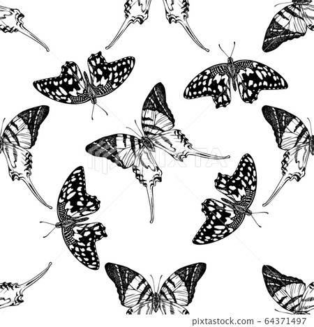 Seamless pattern with black and white giant swordtail, lemon butterfly Seamless pattern with black and white giant swordtail, lemon butterfly 64371497