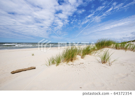 Beautiful summer landscape of sea coast 64372354