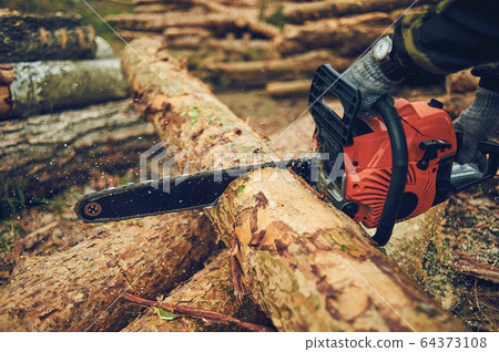Chainsaw. Close-up of woodcutter sawing chain saw in motion, sawdust fly to sides. Concept bring down trees. 64373108