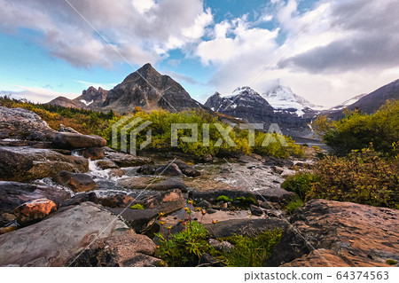 Mount Assiniboine on stream flowing in autumn Mount Assiniboine on stream flowing in autumn 64374563