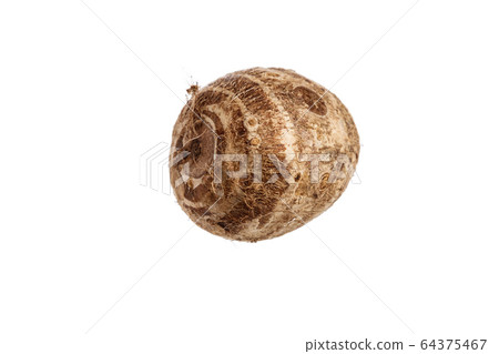 Taroes on a white background Taroes on a white background 64375467
