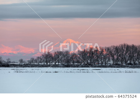 Mt baker 64375524