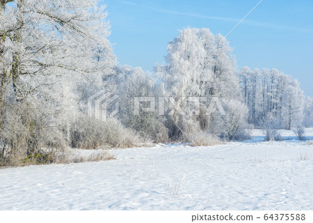 Beautiful winter landscape with hoarfrost on trees 64375588