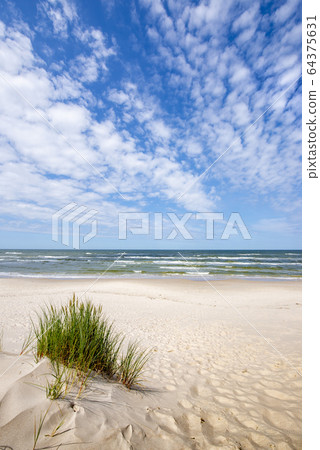 Beautiful summer landscape of sea coast and dunes Beautiful summer landscape of sea coast and dunes 64375631
