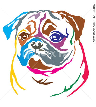 Colorful decorative portrait of Dog Pug vector Colorful decorative portrait of Dog Pug vector 64376087